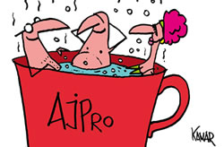 AJPro, l'offre de formations permanentes de l'AJP