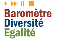 Baromètre de l'égalité et de la diversité 2013, CSA