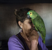 Diamonds in Brazil. Crédit : Frederik Buyckx